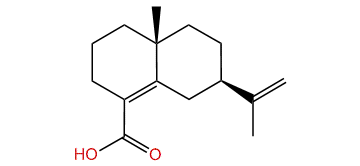 Selina-4,11-dien-14-oic acid